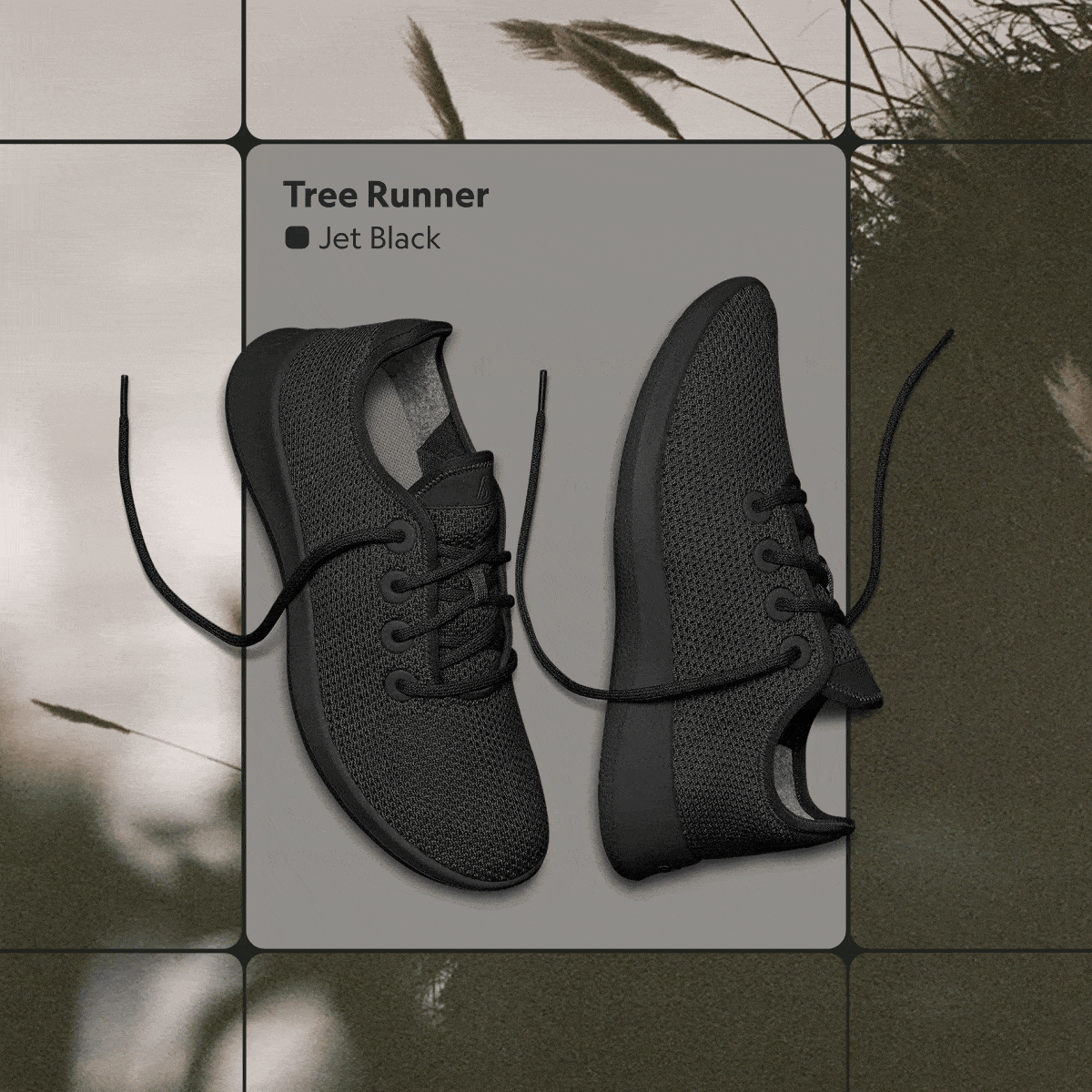 Tree Runner & Dasher GIF
